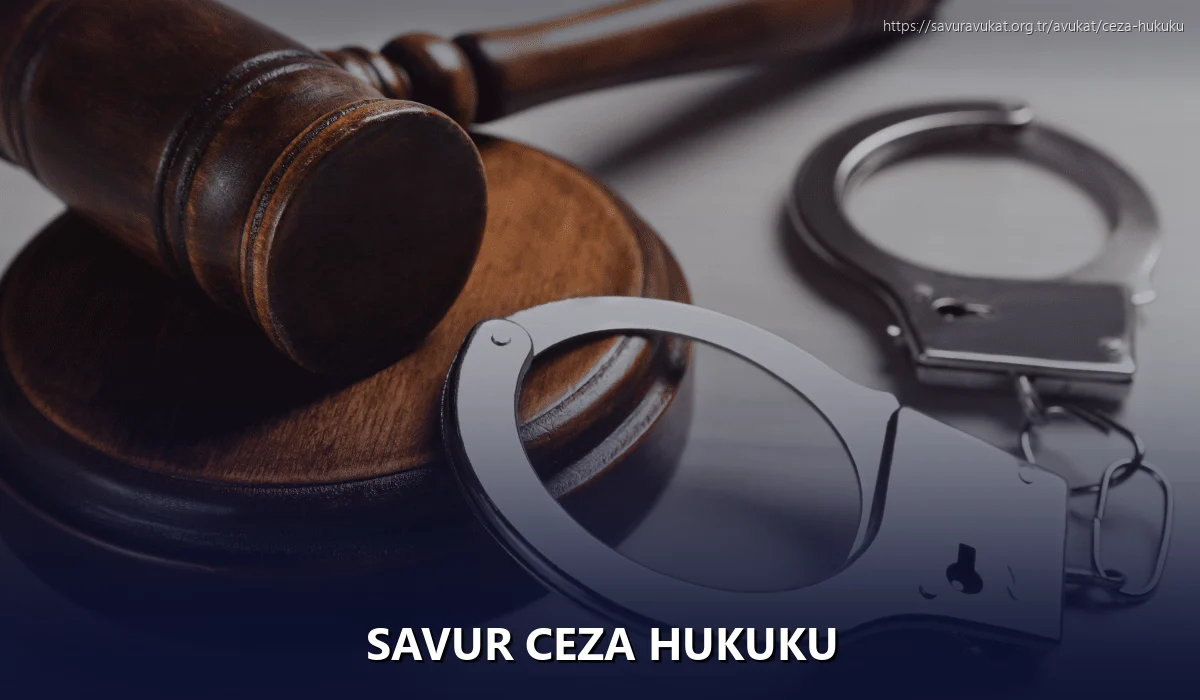 Savur Ceza Hukuku
